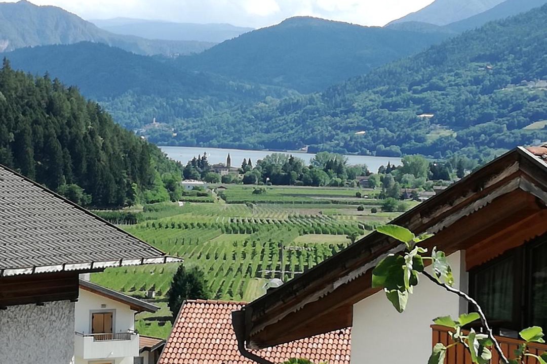 Photo of Others in Pergine Valsugana