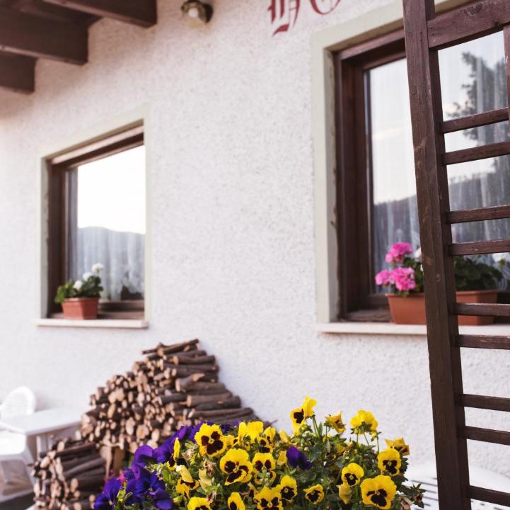 Photo of Patio Balcony in Folgaria