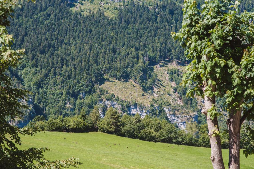 Photo of Outdoor in Folgaria