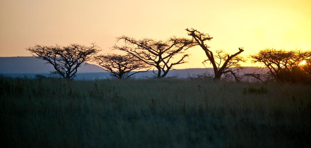 Photo of Others in Isandlwana