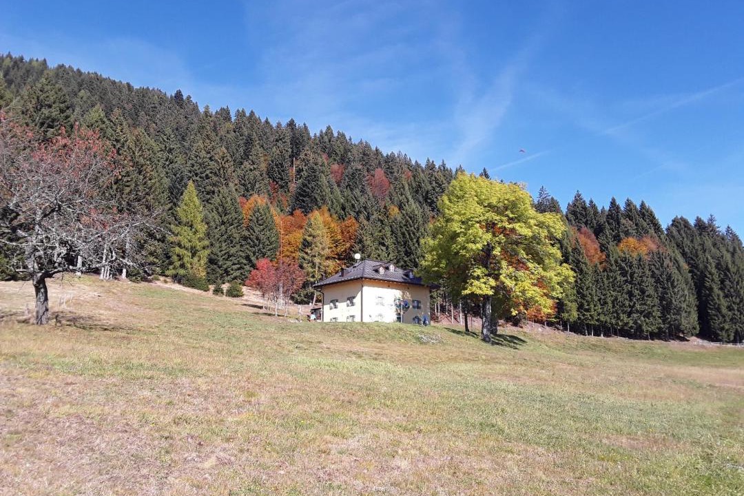 Photo of Others in Telve