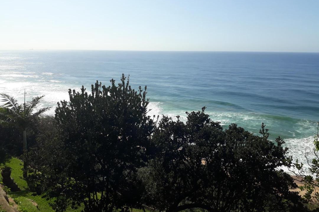 Photo of Others in Bluff