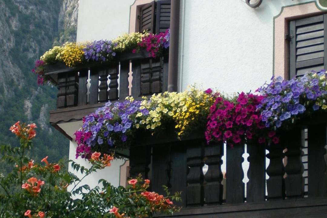 Photo of Patio Balcony in Fai della Paganella
