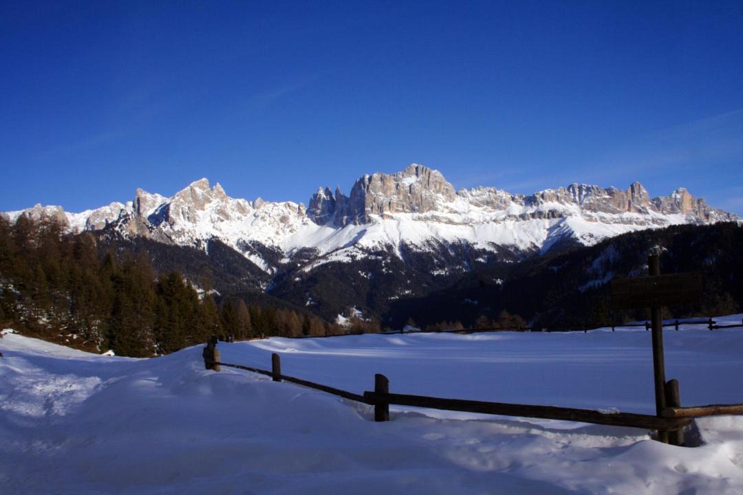 Photo of Others in San Cipriano