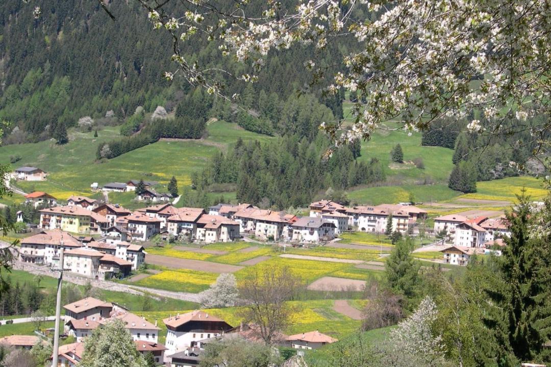 Photo of Others in Mocenigo