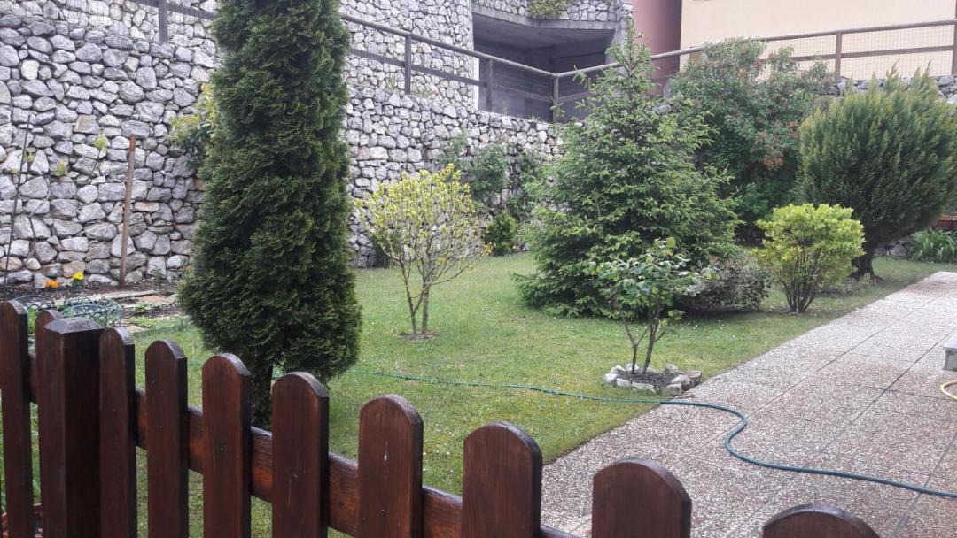 Photo of Others in Molina di Ledro