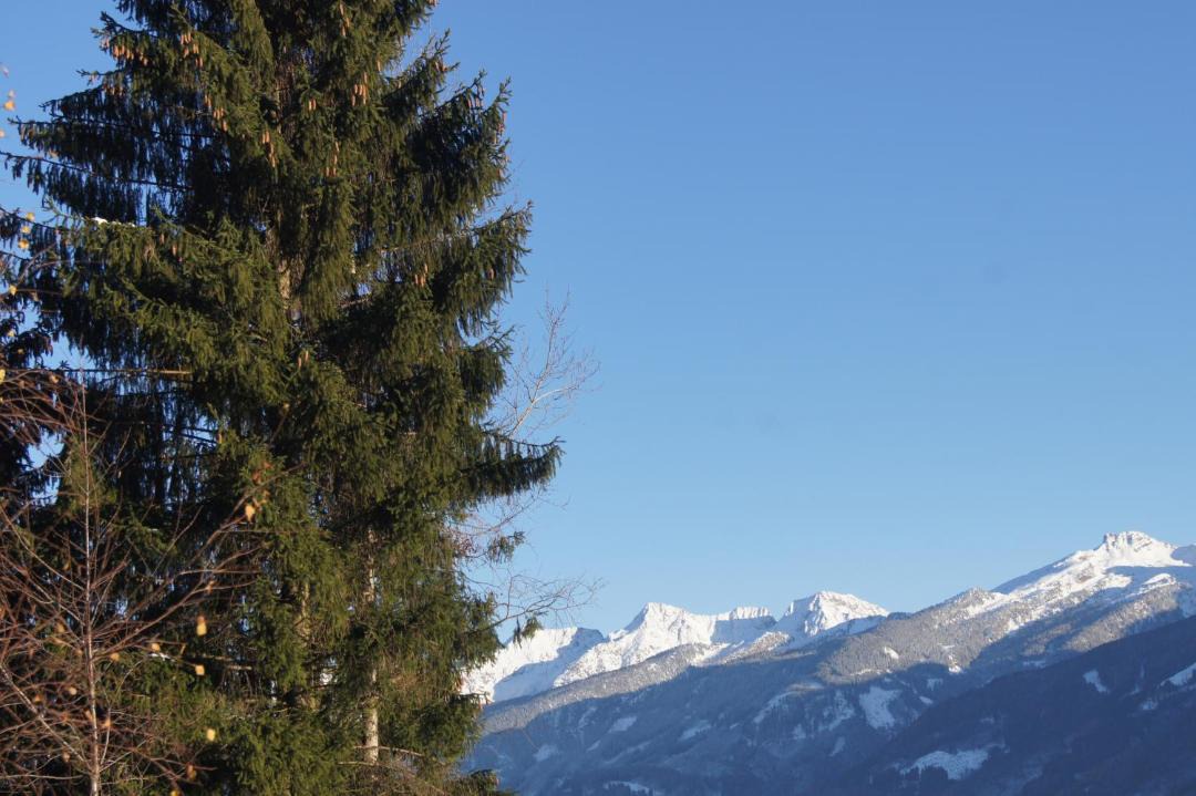 Photo of Outdoor in Daiano