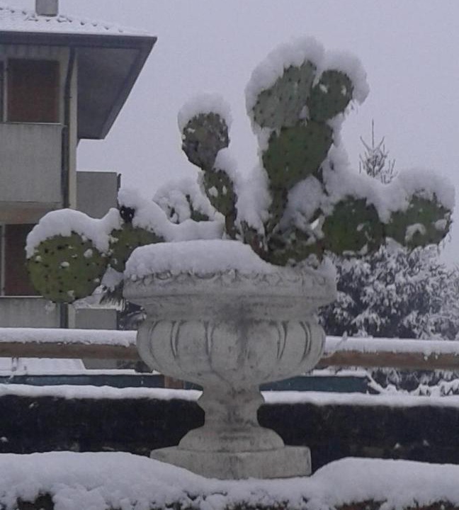Photo of Others in Riva del Garda