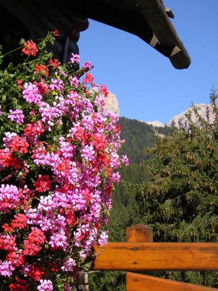 Photo of Others in Vigo di Fassa