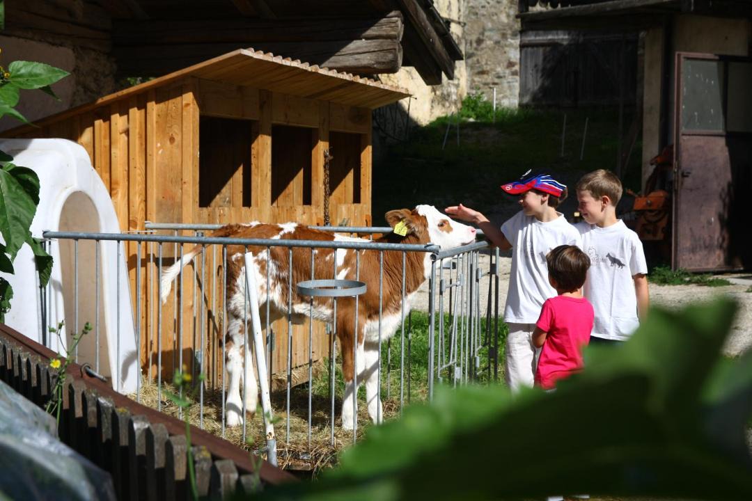 Photo of Others in Lajen