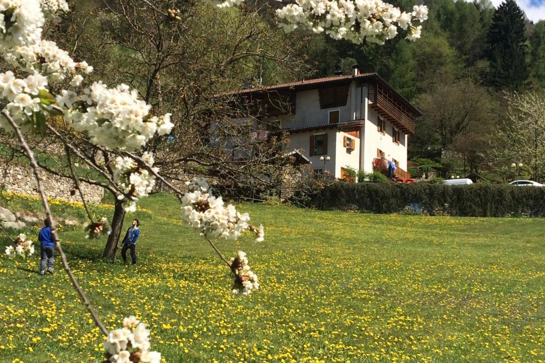 Photo of Others in Vignola-Falesina