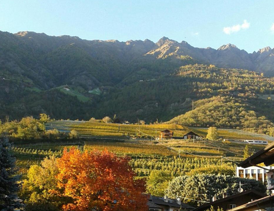 Photo of Outdoor in Naturno