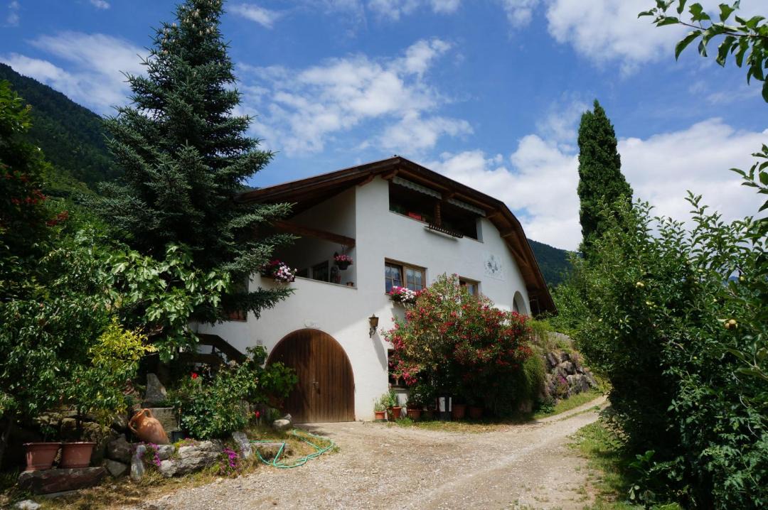 Photo of Buildings in Cermes