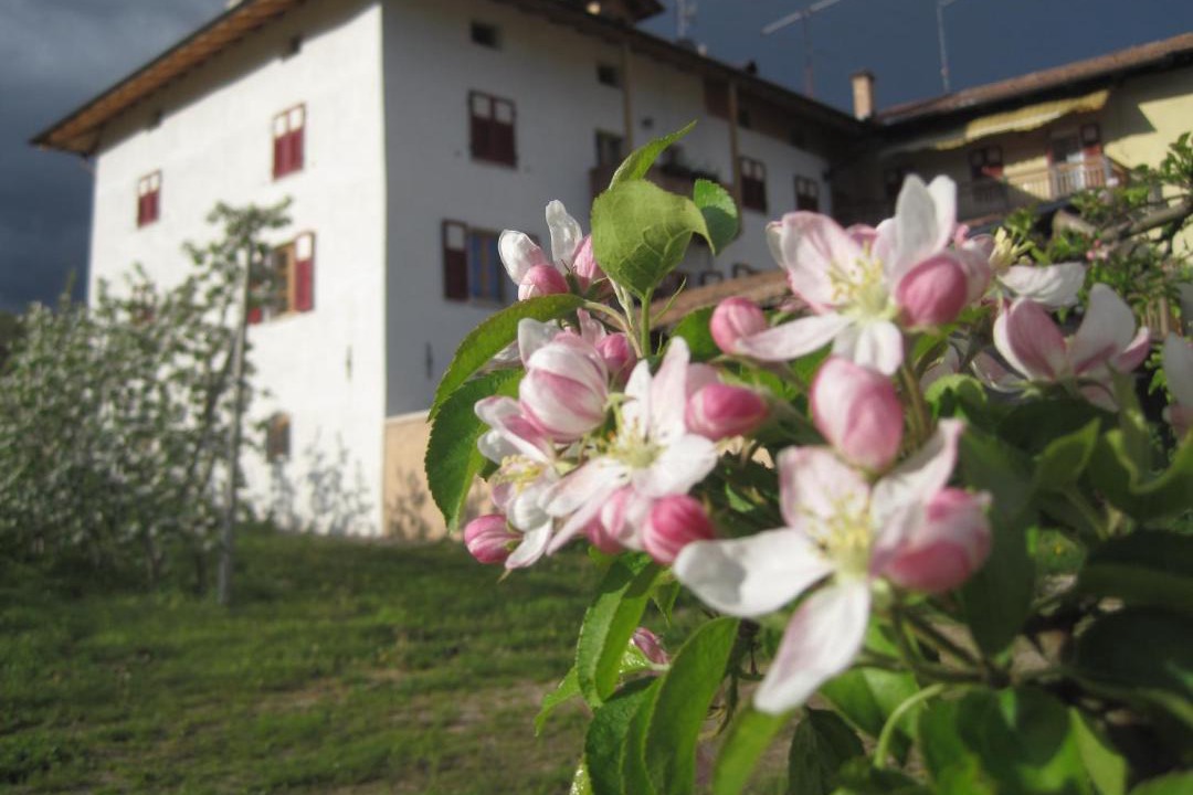 Photo of Buildings in Romeno