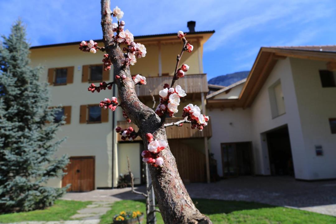 Photo of Others in Cortina Sulla Strada del Vino