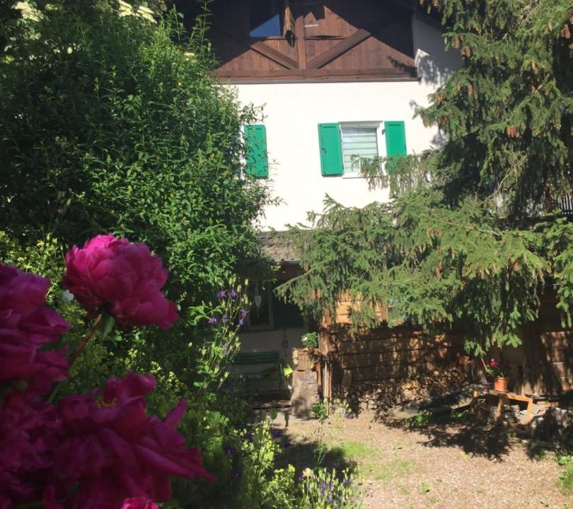 Photo of Buildings in Daiano