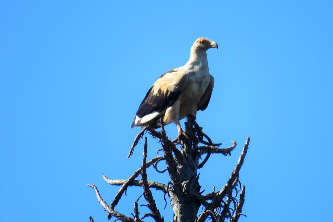 Photo of Others in Mtunzini