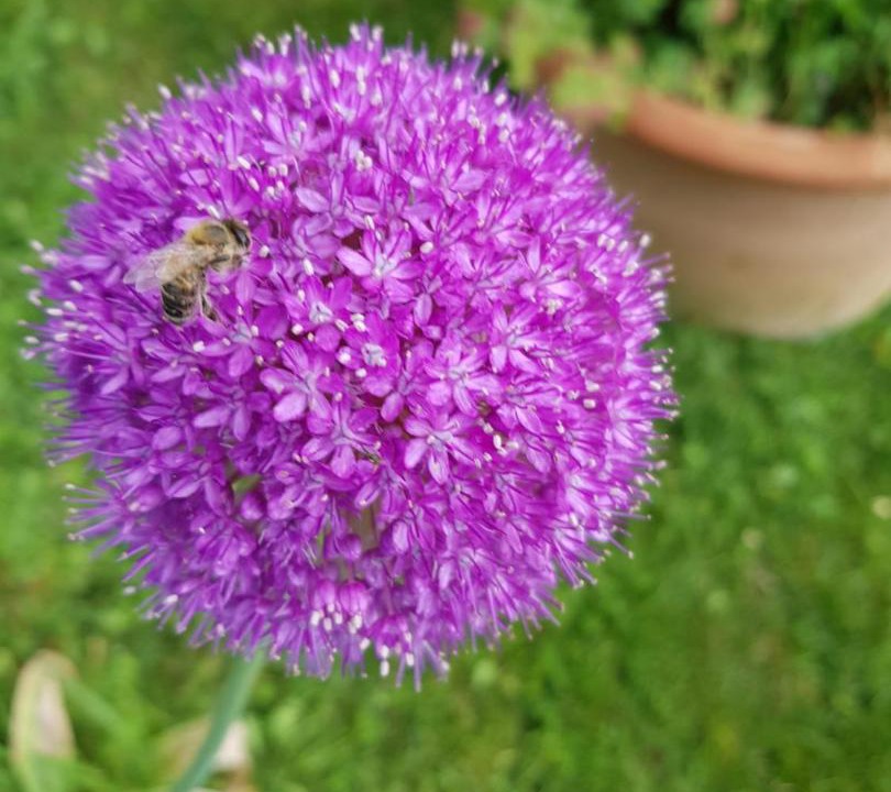 Photo of Outdoor in Montagna