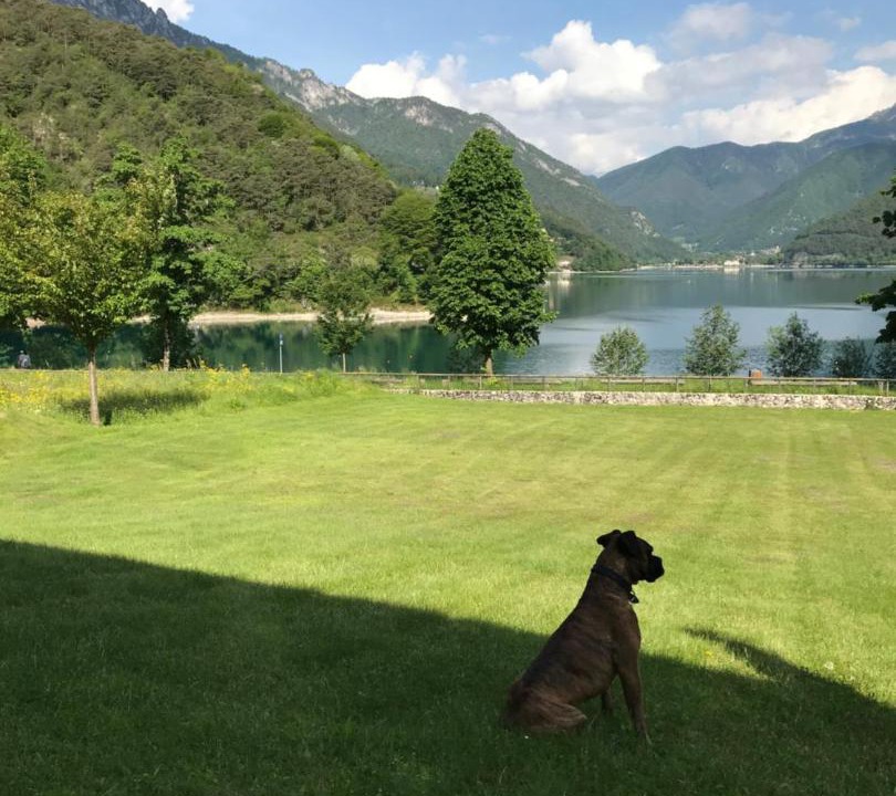 Photo of Others in Molina di Ledro