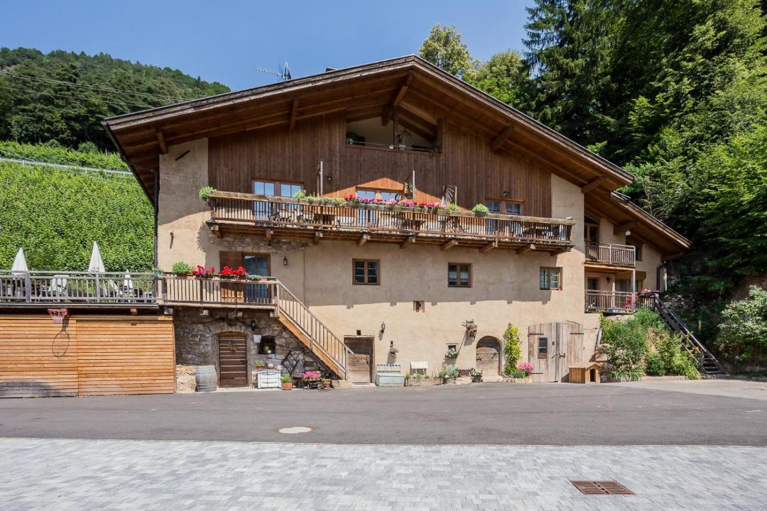 Photo of Others in Montagna