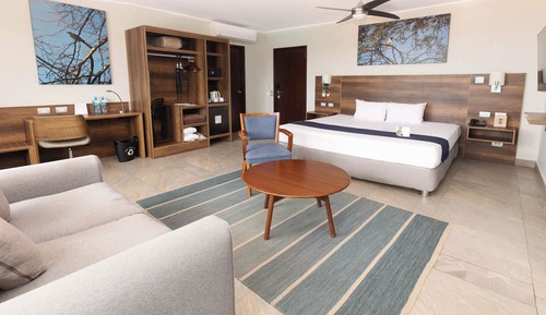 Junior Suite, 1 King Bed