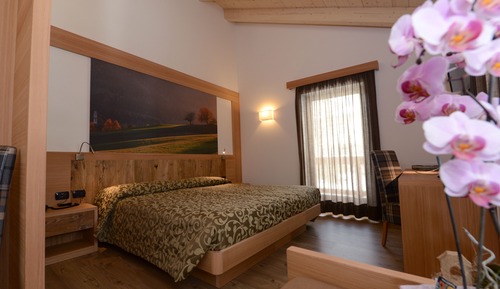 Superior Double or Twin Room