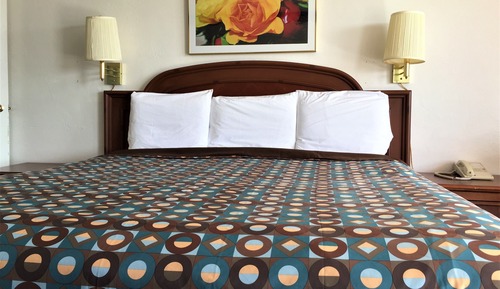 Room, 1 King Bed