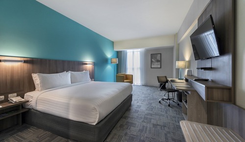 Standard Room, 1 King Bed, Accessible