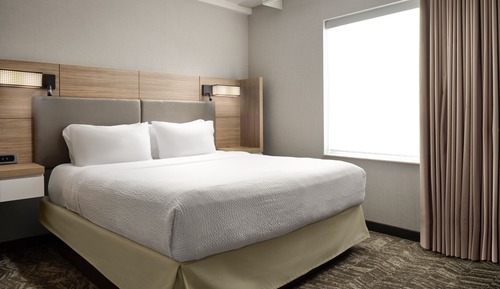Studio, 1 King Bed with Sofa bed