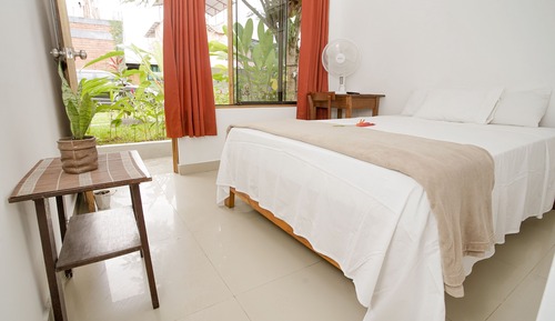 Standard Single Room, 1 Double Bed