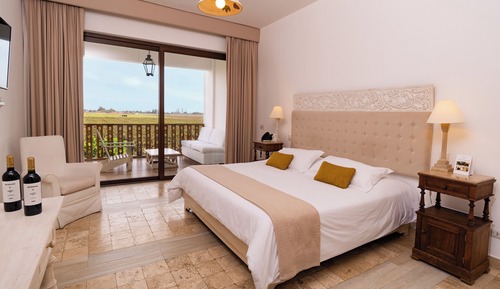 Superior Room, 1 King Bed, Vineyard View