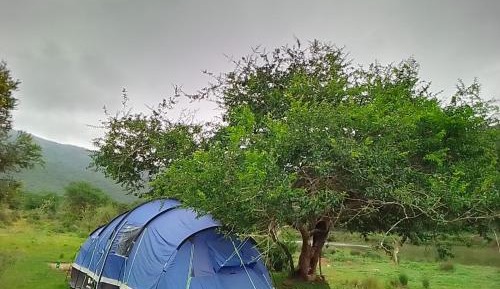 Tent