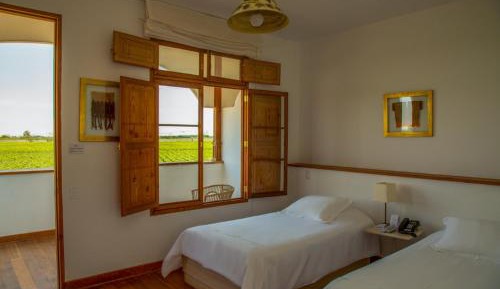 Deluxe Twin Room Vineyard View