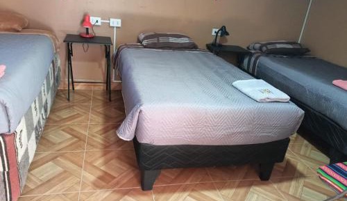 Bed in 4-Bed Dormitory Room