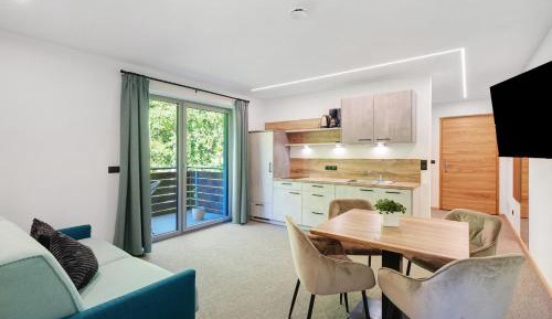 Superior One-Bedroom Apartment with Balcony