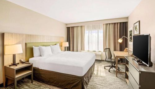 King Room with Sofa Bed - Non-Smoking