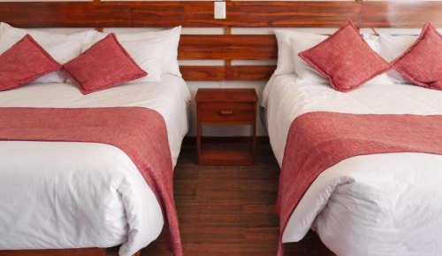 Superior Twin Room with Garden View