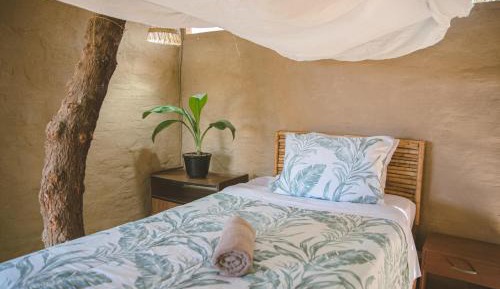 Single Room with Garden View