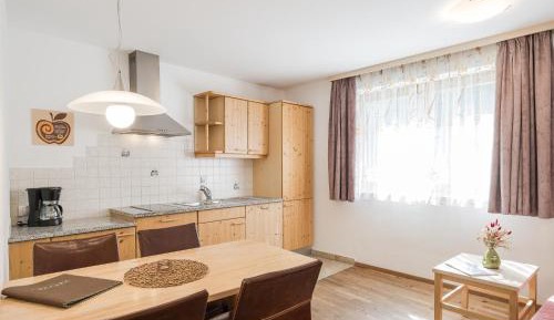 One-Bedroom Apartment 1