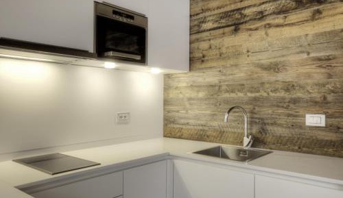 Large One-Bedroom Apartment