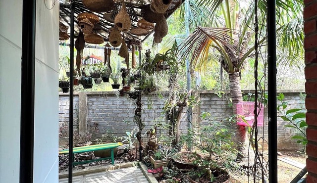 Sakura Mura Retreat and Wellness